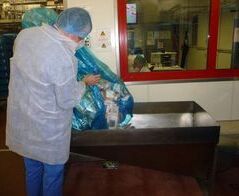 Extraction and waste disposal system for plastic