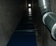 Extraction and disposal facility for cartons with cardboard shredder